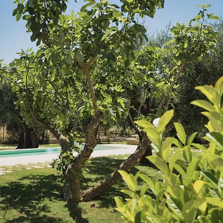 아파트 Pilone Del Monaco - Pool & Free Parking *