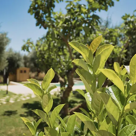 Pilone Del Monaco - Pool & Free Parking Vieste